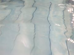 -重庆市奥林匹克体育中心-游泳跳水馆