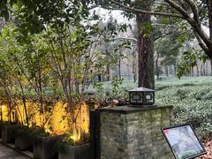 -野蔓果·山野菜(西湖景区·龙井茶田店)