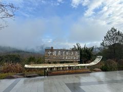 -九曲溪竹筏码头