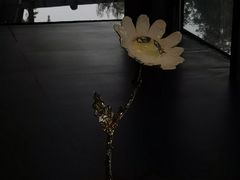 -知美术馆