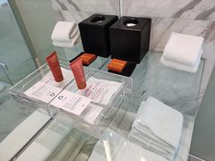 -上海滴水湖皇冠假日酒店
