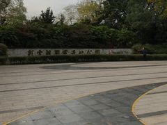 -重庆彩云湖湿地公园
