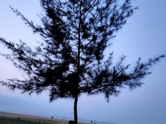 -白沙门生态公园