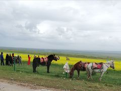 -青海湖国家重点风景名胜区