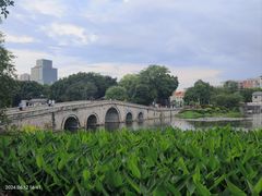 -荔湾湖公园
