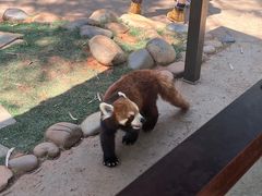 -昆明动物园