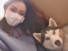 -Husky Go! 哈士奇体验馆·宠物咖啡厅狗咖