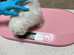 -阿荣24H宠物医院·综合型转诊中心·CT·核磁影像中心