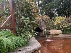 -杭州第一世界大酒店·云曼温泉
