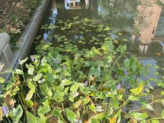 -上海浦东星河湾酒店