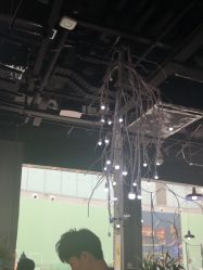 -J-Flying艺术形象设计