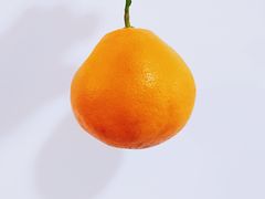 春见耙耙柑-百果园(万达揽湖苑丙铺路店)