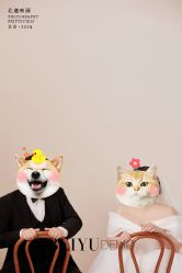 -北遇映画PHOTO GRAPHY STUDIO