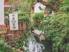 -西溪国家湿地公园