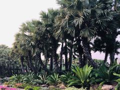 -东芭乐园