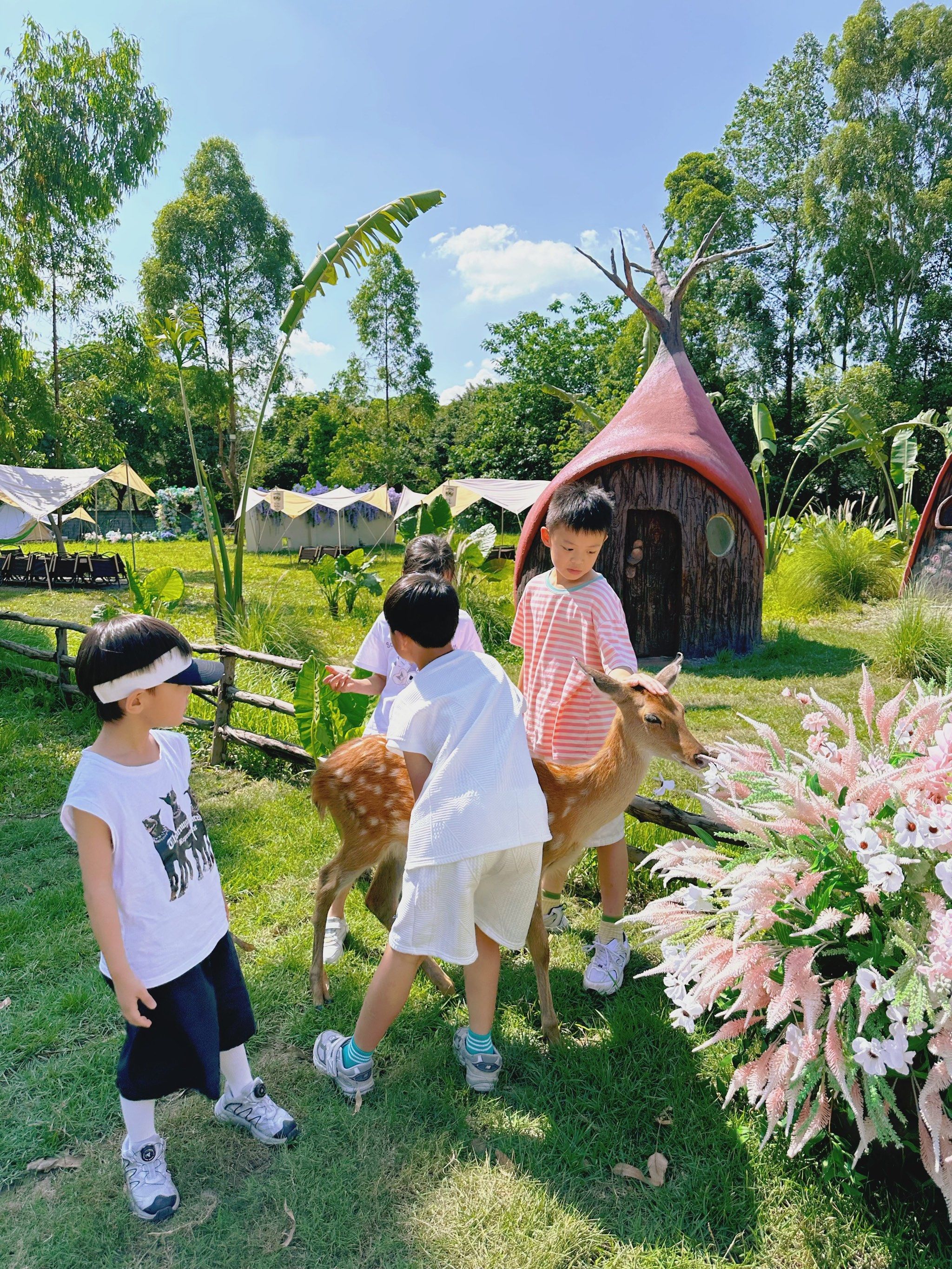 04番禺童话农场/在爱丽丝小屋喂小鹿 太梦幻了