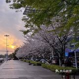 苏州探店 苏州工业园区