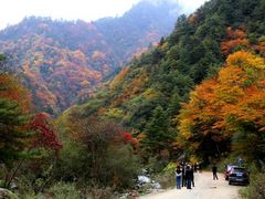 android_upload_pic-广元唐家河嘉怡客栈