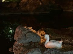 -祝家花園(伯渎港店)