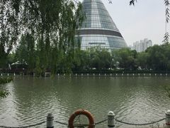 -上海市第一人民医院(松江南部)