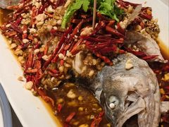 -杨氏青龙虾·羊蝎子(金盛路总店)