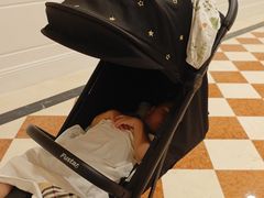 -澳门威尼斯人综合度假区