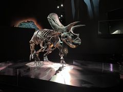 -墨尔本博物馆(Melbourne Museum)