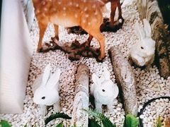 -二分八云雁阁•新晋菜大同味(长治路店)