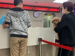 -申普宠物医院·心脏介入·心血管微创(总院)
