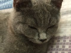 -北京博爱动物医院有限公司