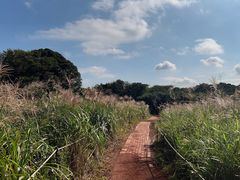 -济州森林小火车生态公园