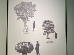 -中国茶叶博物馆(双峰馆区)
