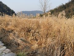 -会稽山峡洞漂流-上青古道