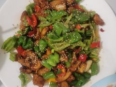 -煲来饱去冷水鱼