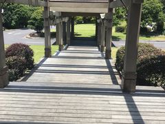 -千岛湖品鱼馆(钓鱼岛店)