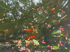 -张学良旧居陈列馆