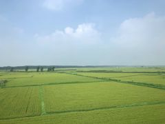 -新疆儿子娃娃餐厅(锦华街店)