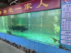 -年辉渔村·非遗传承餐厅(新丰江店)