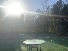 -尚庄度假村·庭台树下·户外烧烤·团建CS·轰趴营地(上庄水库店)
