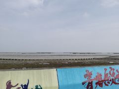 -南汇嘴观海公园