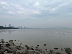 -深圳湾公园(南山区)