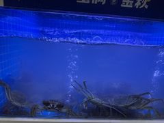 -蟹状元大闸蟹·年货·粽子(成都成华店)