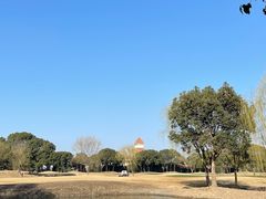 -旭宝高尔夫俱乐部