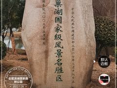 -合肥滨湖国家森林公园