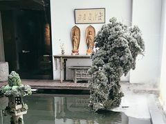 -觀芷隐轩
