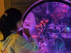 -沈阳海洋探索中心