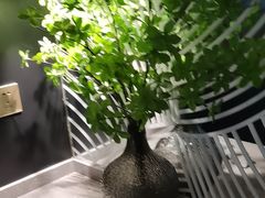 -华夏良子·足道SPA艾灸(金皇大厦店)