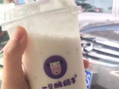 -一只酸奶牛(八一路店)