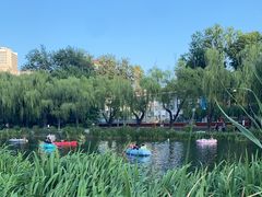 -WhaleSports户外水上运动俱乐部(朝阳公园店)