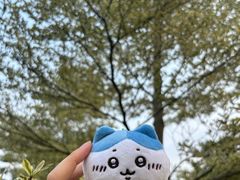 -常德津市牛肉粉(兴南大道店)